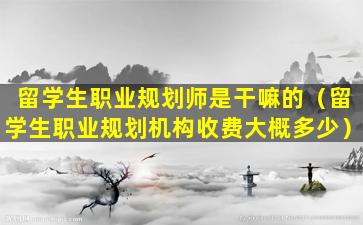 留学生职业规划师是干嘛的（留学生职业规划机构收费大概多少）