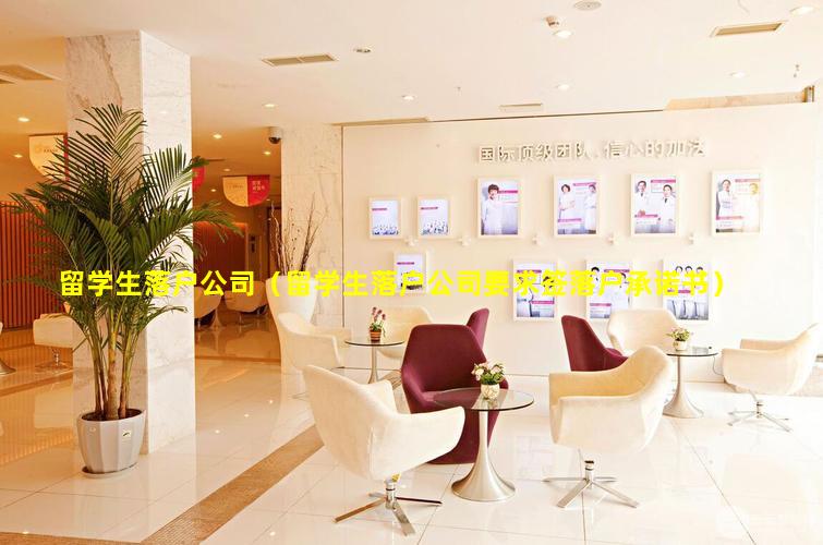 留学生落户公司（留学生落户公司要求签落户承诺书）