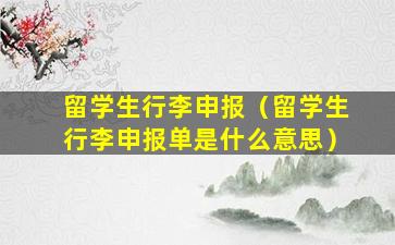 留学生行李申报（留学生行李申报单是什么意思）