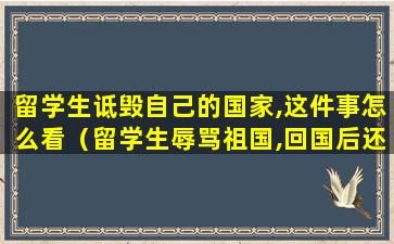 留学生诋毁自己的国家,这件事怎么看（留学生辱骂祖国,回国后还找到那么好的工作）