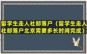 留学生走人社部落户（留学生走人社部落户北京需要多长时间完成）