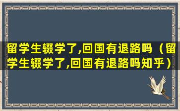 留学生辍学了,回国有退路吗（留学生辍学了,回国有退路吗知乎）