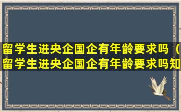 留学生进央企国企有年龄要求吗（留学生进央企国企有年龄要求吗知乎）