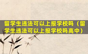 留学生违法可以上报学校吗（留学生违法可以上报学校吗高中）