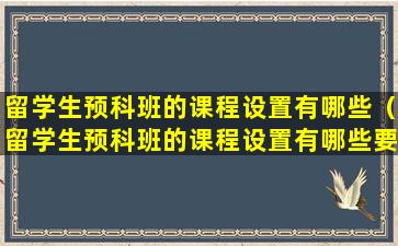 留学生预科班的课程设置有哪些（留学生预科班的课程设置有哪些要求）