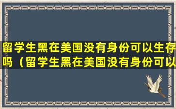 留学生黑在美国没有身份可以生存吗（留学生黑在美国没有身份可以生存吗）