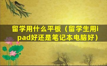 留学用什么平板（留学生用ipad好还是笔记本电脑好）