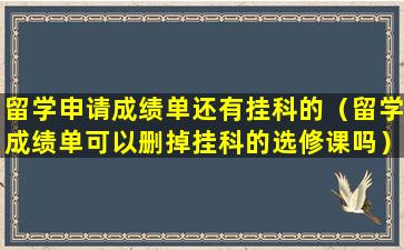 留学申请成绩单还有挂科的（留学成绩单可以删掉挂科的选修课吗）