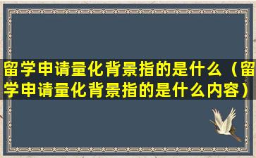 留学申请量化背景指的是什么（留学申请量化背景指的是什么内容）