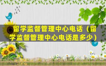 留学监督管理中心电话（留学监督管理中心电话是多少）