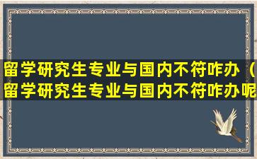 留学研究生专业与国内不符咋办（留学研究生专业与国内不符咋办呢）