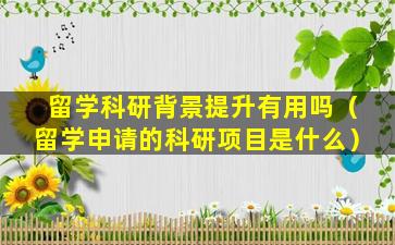 留学科研背景提升有用吗（留学申请的科研项目是什么）