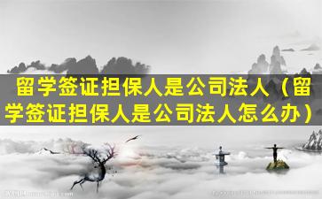 留学签证担保人是公司法人（留学签证担保人是公司法人怎么办）