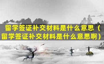 留学签证补交材料是什么意思（留学签证补交材料是什么意思啊）