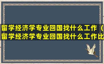 留学经济学专业回国找什么工作（留学经济学专业回国找什么工作比较好）