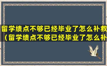 留学绩点不够已经毕业了怎么补救（留学绩点不够已经毕业了怎么补救高中）