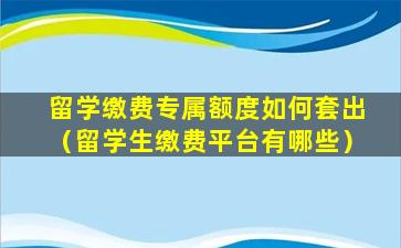 留学缴费专属额度如何套出（留学生缴费平台有哪些）