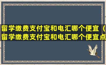 留学缴费支付宝和电汇哪个便宜（留学缴费支付宝和电汇哪个便宜点）