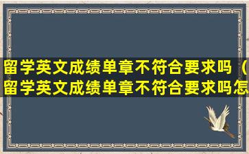 留学英文成绩单章不符合要求吗（留学英文成绩单章不符合要求吗怎么办）