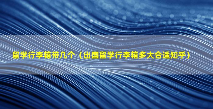 留学行李箱带几个（出国留学行李箱多大合适知乎）