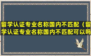 留学认证专业名称国内不匹配（留学认证专业名称国内不匹配可以吗）