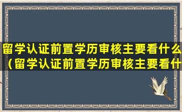 留学认证前置学历审核主要看什么（留学认证前置学历审核主要看什么内容）