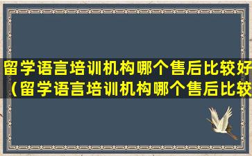 留学语言培训机构哪个售后比较好（留学语言培训机构哪个售后比较好点）