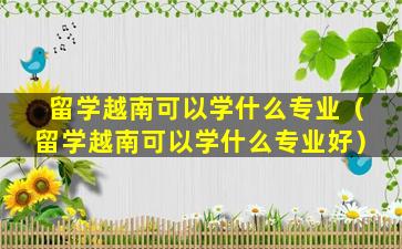 留学越南可以学什么专业（留学越南可以学什么专业好）