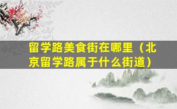 留学路美食街在哪里（北京留学路属于什么街道）