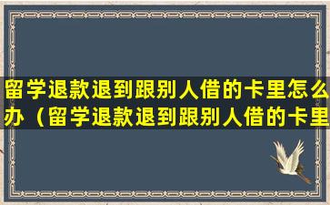 留学退款退到跟别人借的卡里怎么办（留学退款退到跟别人借的卡里怎么办呢）