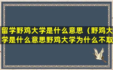 留学野鸡大学是什么意思（野鸡大学是什么意思野鸡大学为什么不取缔）