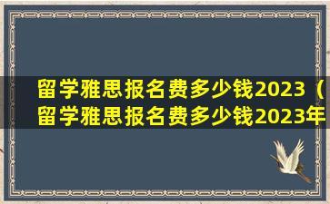 留学雅思报名费多少钱2023（留学雅思报名费多少钱2023年）