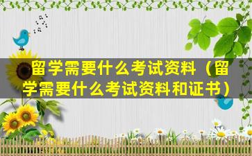 留学需要什么考试资料（留学需要什么考试资料和证书）
