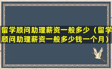 留学顾问助理薪资一般多少（留学顾问助理薪资一般多少钱一个月）