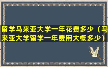 留学马来亚大学一年花费多少（马来亚大学留学一年费用大概多少）