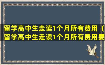 留学高中生走读1个月所有费用（留学高中生走读1个月所有费用要多少）