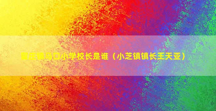 留庄镇马口小学校长是谁（小芝镇镇长王天亚）