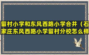 留村小学和东风西路小学合并（石家庄东风西路小学留村分校怎么样）