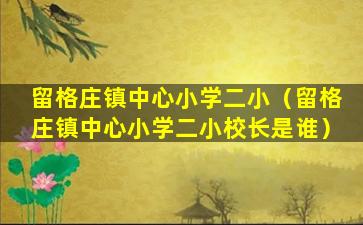 留格庄镇中心小学二小（留格庄镇中心小学二小校长是谁）