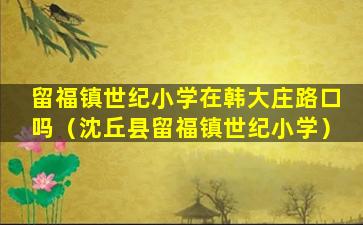 留福镇世纪小学在韩大庄路口吗（沈丘县留福镇世纪小学）