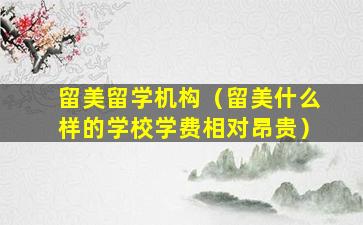 留美留学机构（留美什么样的学校学费相对昂贵）