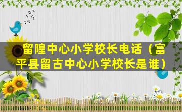 留隍中心小学校长电话（富平县留古中心小学校长是谁）