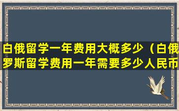 白俄留学一年费用大概多少（白俄罗斯留学费用一年需要多少人民币）