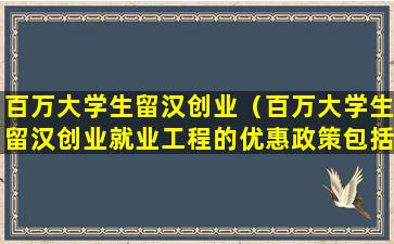 百万大学生留汉创业（百万大学生留汉创业就业工程的优惠政策包括()）