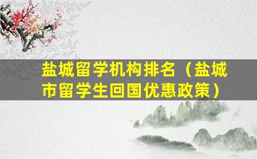 盐城留学机构排名（盐城市留学生回国优惠政策）