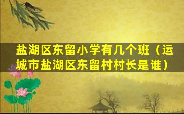 盐湖区东留小学有几个班（运城市盐湖区东留村村长是谁）