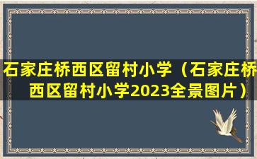 石家庄桥西区留村小学（石家庄桥西区留村小学2023全景图片）