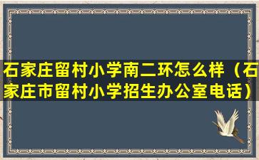 石家庄留村小学南二环怎么样（石家庄市留村小学招生办公室电话）