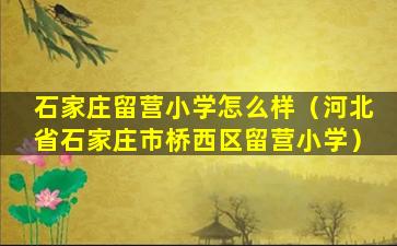 石家庄留营小学怎么样（河北省石家庄市桥西区留营小学）