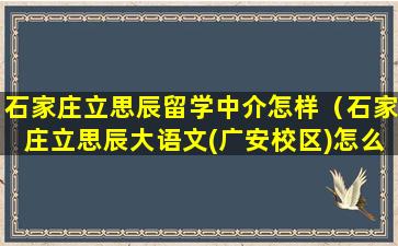 石家庄立思辰留学中介怎样（石家庄立思辰大语文(广安校区)怎么样）